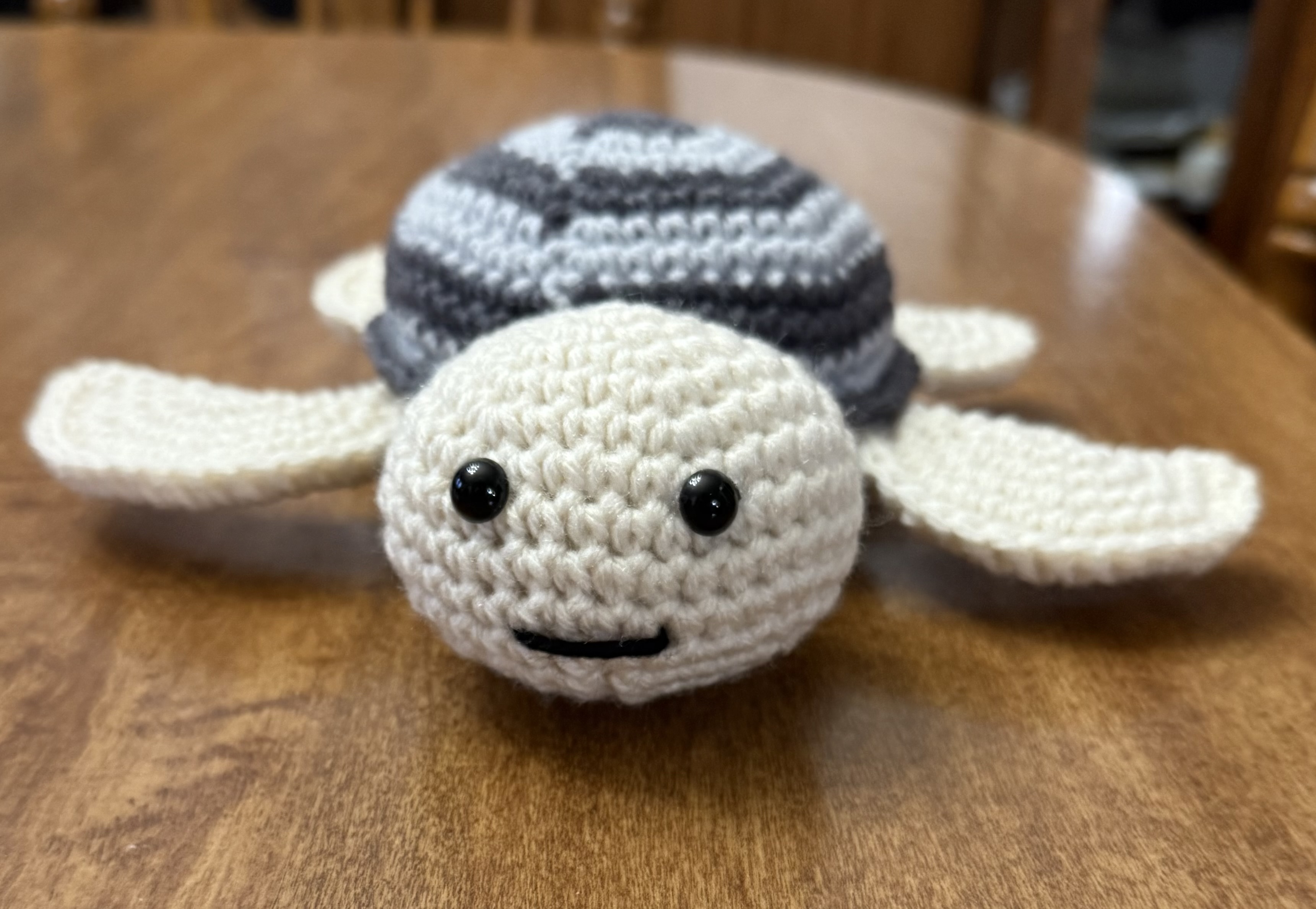 Hand-Crocheted Multi-Colored Turtle